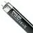 Philips MASTER TL-D 18W - Blacklight Blauw | 60cm