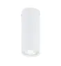 Emibig Plafondlamp Tecno Staal Wit | Geschikt voor 1x GU10 - Max 8W