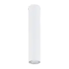 Emibig Plafondlamp Tecno Staal Wit | Geschikt voor 1x GU10 - Max 8W